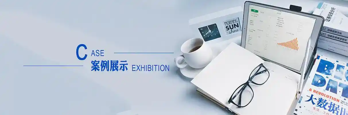芦淞区软件开发